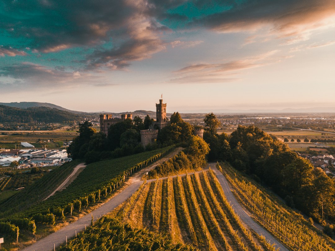 Castle landscape in Germany illustrating the historic Palatinate regions